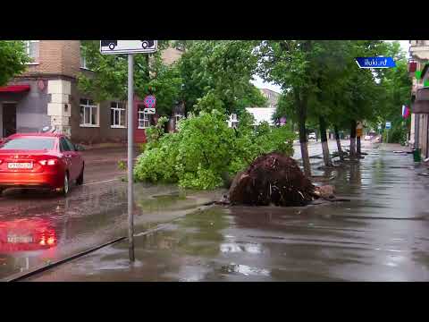 Видео: Последствия сильнейшего урагана в Великих Луках / 25 июня 2021