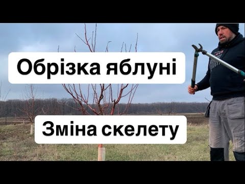 Видео: Обрізка яблуні. Зміна скелету