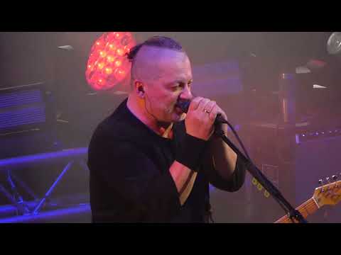 Видео: Вадим Самойлов - Опиум/Сказочная тайга (ДК Горбунова 05.04.2025)