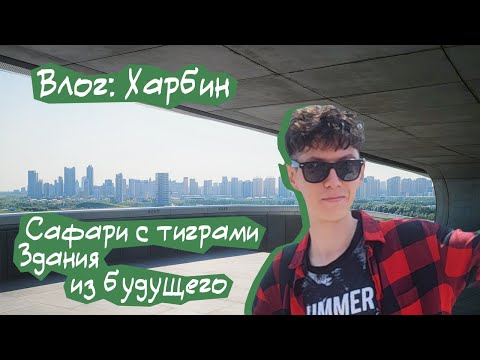 Видео: Харбин: телебашня, тигры и прогулка по городу | Влог из Китая
