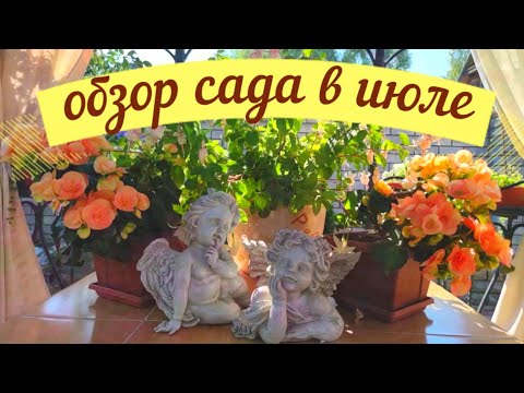 Видео: ОБЗОР САДА НА 18 ИЮЛЯ.