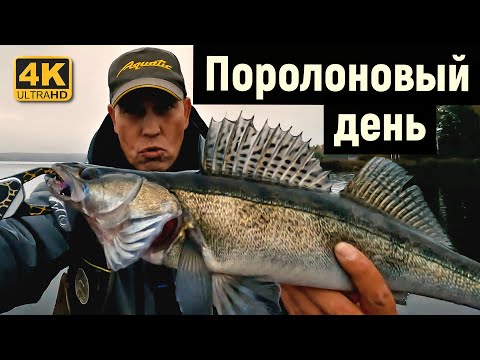 Видео: Судак на поролоновую рыбку. Рыбалка в октябре 2022