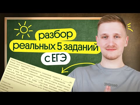Видео: Разбор реальных 5 заданий с ЕГЭ 2024