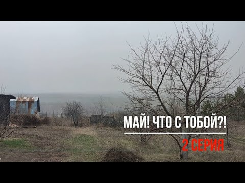 Видео: Заброшенная дача 2023/Погода не может помешать планам! 2 серия