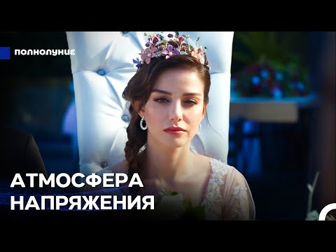 Видео: Любовь Становится Громче #10: День, Когда Мечты Сбываются - Полнолуние