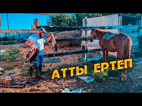 Видео: Жирен атты ертеп мініп алдым. Ауыл арасы атпен жүріп қайттым.