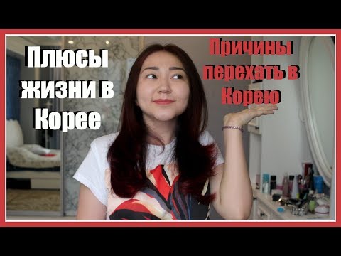 Видео: ВСЯ ПРАВДА О КОРЕЕ! ПРИЧИНЫ ПЕРЕЕХАТЬ В КОРЕЮ! ПЛЮСЫ ЖИЗНИ В КОРЕЕ - AltynaySei