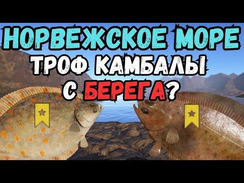 Видео: КАК РЫБАЧИТЬ НА МОРЕ С БЕРЕГА?/Норвежское море ● Русская Рыбалка 4 | РР4