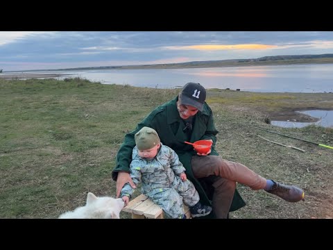 Видео: Тропою Предков: Бернат Глава Ижмы — Территория Коми