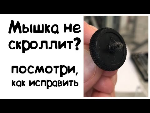 Видео: Не работает колёсико (скролл) на мышке. Рабочий способ решить проблему