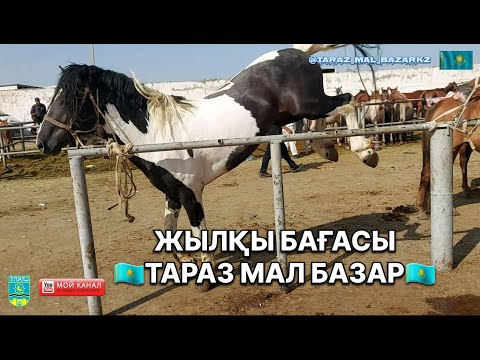 Видео: ЖЫЛҚЫ БАҒАСЫ 05.08.2024 ТАРАЗ МАЛ БАЗАР / MAL BAZAR ✅