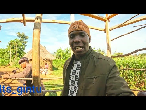 Видео: Хватит пить!!! Проект «Матико Хаус» начинается