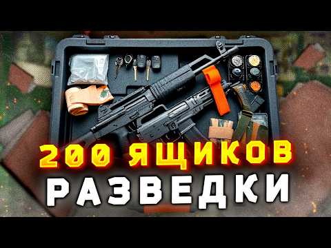 Видео: Ящик диких 2024. 200 отправлений ЗА РАЗВЕДДАННЫЕ - Полный анализ и прибыль в Escape from Tarkov