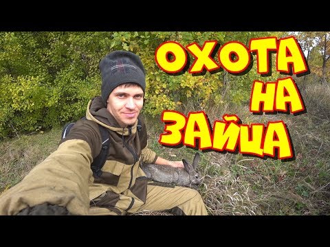 Видео: Охота на зайца и дикого кролика!