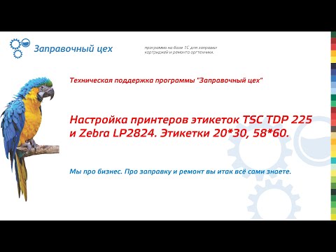 Видео: Техподдержка. Выпуск №3: Настройка принтеров этикеток TSC TDP 225 и Zebra LP2824.