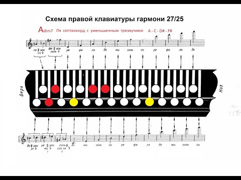 Видео: АККОРДЫ для ГАРМОНИ