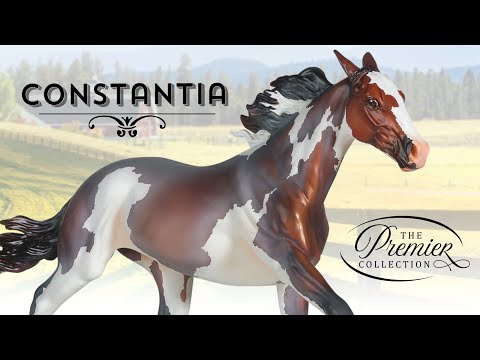 Видео: Распаковка Breyer Premier Club Constantia