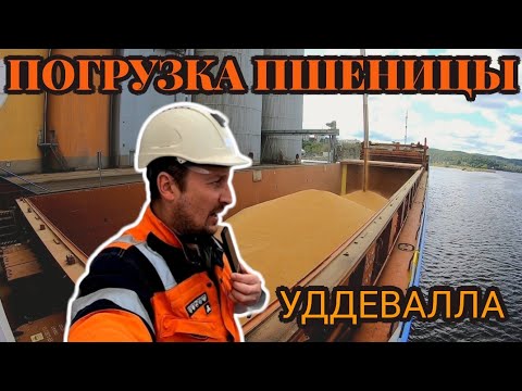 Видео: Погрузка пшеницы | УДДЕВАЛЛА | Швеция | Моряк блогер рассказывает о жизни и работе на судне