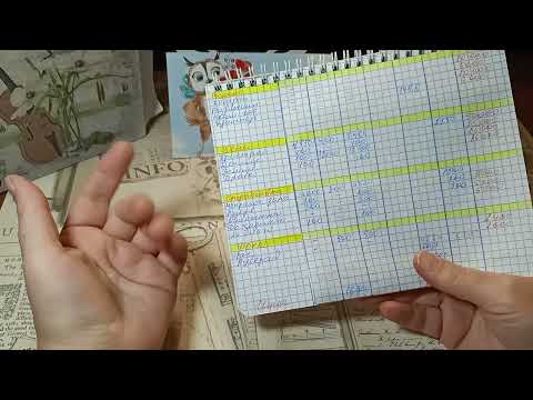 Видео: Записи в тетради по распределению денег.