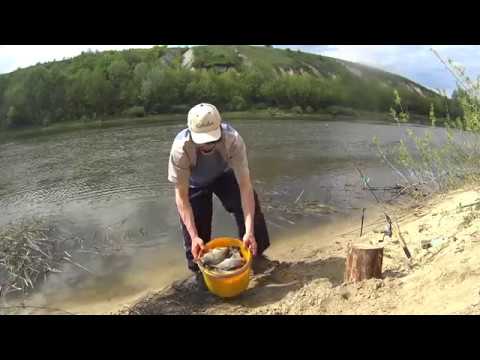 Видео: Карась на фидер.Рыбалка на Дону.Отличный клев.