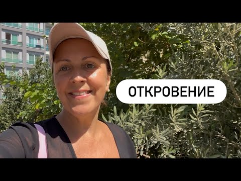 Видео: 💰ПРО ДЕНЬГИ | УРОКИ БЛОГЕРА 