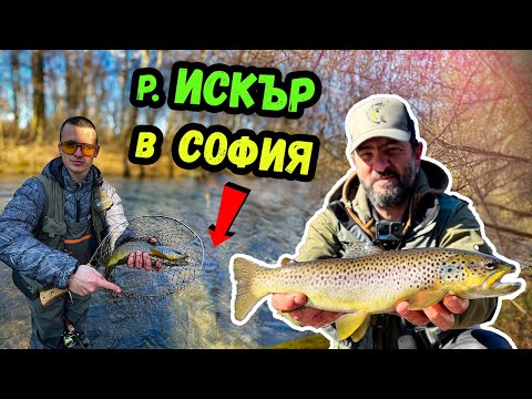 Видео: НАЙ-ЯКОТО МЯСТО за РИБОЛОВ на ПЪСТЪРВА  в СОФИЯ - река Искър!