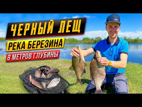 Видео: Черный лещ на фидер⚠️ Как активировать клев❓🔥 Мощные поклевки леща 🆘 Березина ✔️