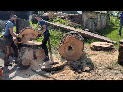 Видео: Неожиданная поломка при распиле