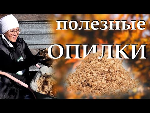 Видео: Как опилки делают землю плодородной, помогают бороться с вредителями и сорняками