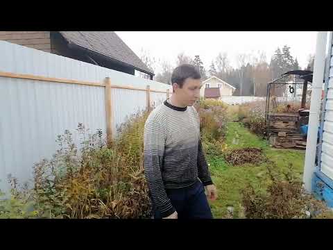 Видео: Когда лучше обрезать пионы и флоксы осенью 