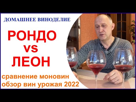 Видео: Сравнение моновина из сортов Рондо и Леон Мийо, а также пару слов о других винах сезона 2022 года.