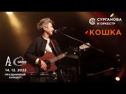 Видео: Кошка - Сурганова и Оркестр (А2 Green Concert, Санкт-Петербург, 14.12.2022)