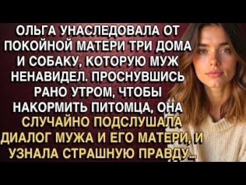 Видео: Собака осталась — муж ушёл. А потом всё стало ясно