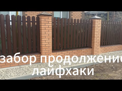 Видео: 9 октября 2025 г.