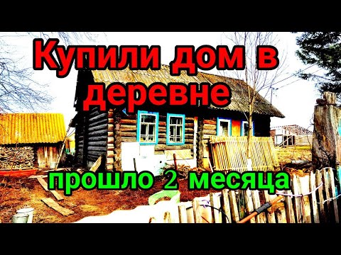Видео: Купили дом в деревне . Прошло 2 месяца