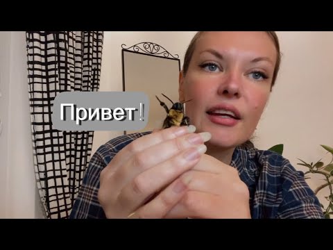 Видео: Бабочка,которую все боятся покорила мое сердце 💓 #бражникмертваяголова