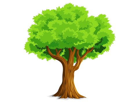 Видео: КӨКТЕМГІ АҒАШТАР