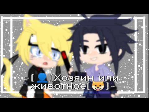 Видео: 🌞 //MEME//🥱-[👤] Хозяин или животное [🐱]- [SasuNaru] [by KaPaCuK] [Gasha club]