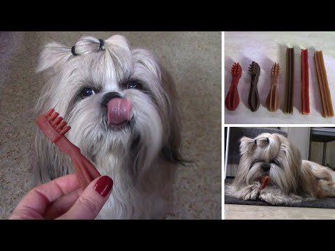 Видео: Лакомства для чистки зубов. Что покупаю и от каких отказалась?/ Whimzees (Вимзис), Greenies (Гринис)