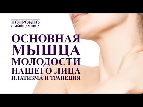 Видео: ОСНОВНАЯ МЫШЦА МОЛОДОСТИ ЛИЦА. ПЛАТИЗМА И МЫШЦЫ ТРАПЕЦИИ