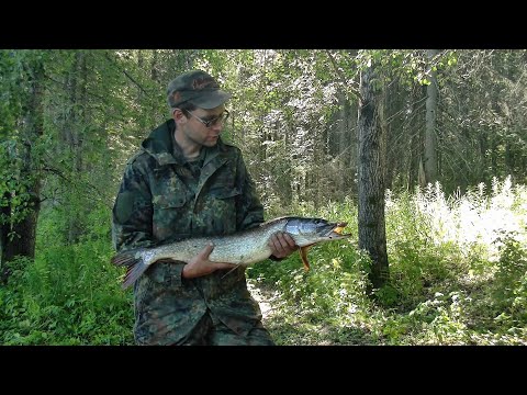 Видео: Вот это хищник, таких я ещё не лавливал! #344