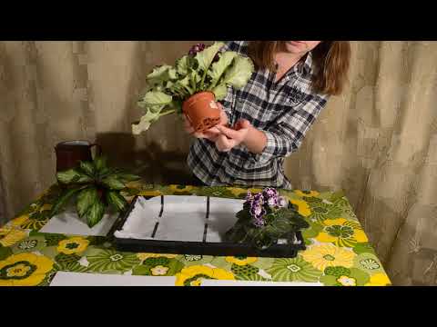 Видео: Капиллярные маты для цветов - это спасение!