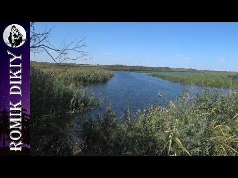 Видео: Закрыл летнюю рыбалку. Топарские озёра. 15-17 августа 2025г.