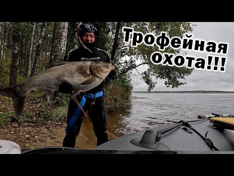 Видео: ТРИ ТРОФЕЯ В ОДИН ДЕНЬ!!! ПОДВОДНАЯ ОХОТА!!! НЫРЯЕМ ОЧЕНЬ ГЛУБОКО!!!