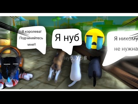 Видео: Типы игроков в Cat Simulator Animal Life!