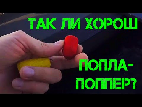 Видео: Попла-поппер в кувшинках l Очень необычная рыбалка