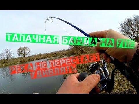 Видео: Тапочная банда на Упе. Река не перестает удивлять
