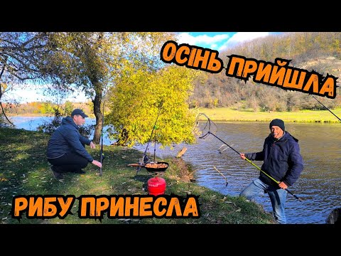 Видео: ОСІННІ КАРАСІ ДУЖЕ РАДУЮТЬ/ РИБАЛИМО З БАТЬКОМ НА РІЧЦІ ПІВДЕННИЙ БУГ
