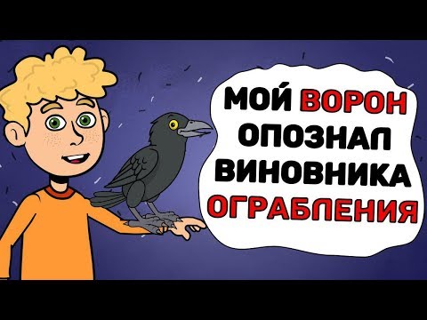 Видео: Мой ВОРОН опознал виновника ОГРАБЛЕНИЯ