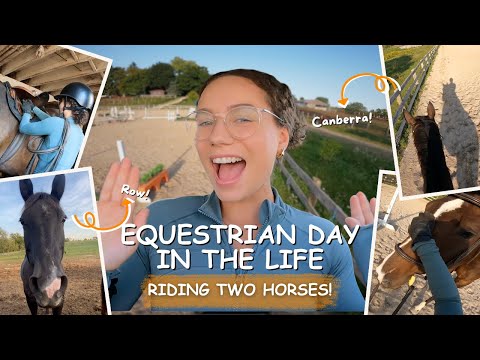 Видео: День из жизни в конюшне! | Конное издание